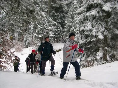 Camping Le Champ de Mars