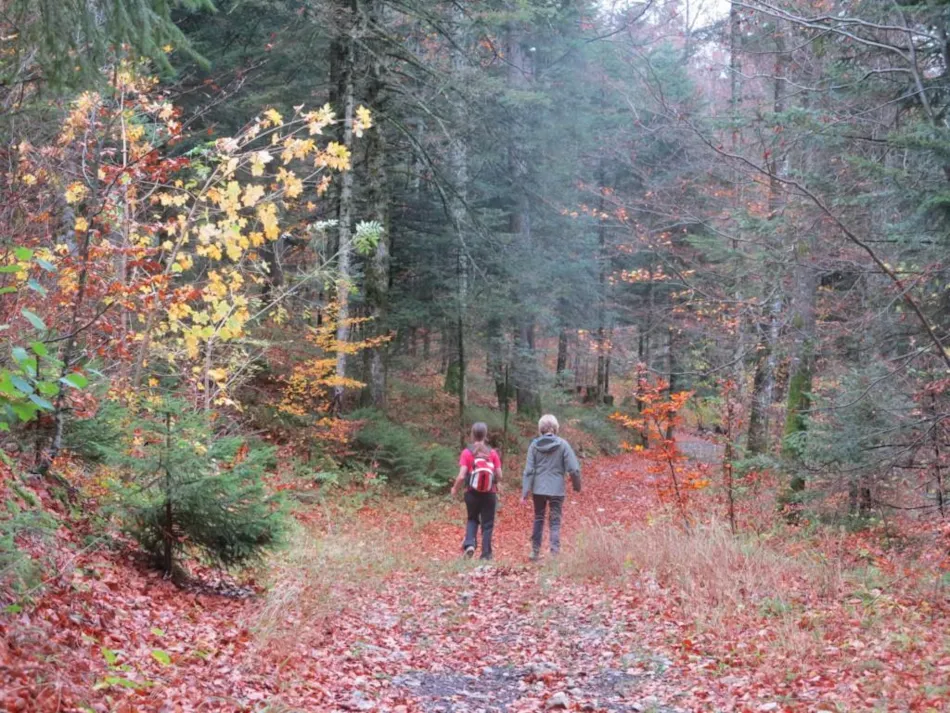 Camping Le Champ de Mars