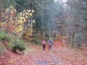 Camping Le Champ de Mars