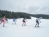 Camping Le Champ de Mars
