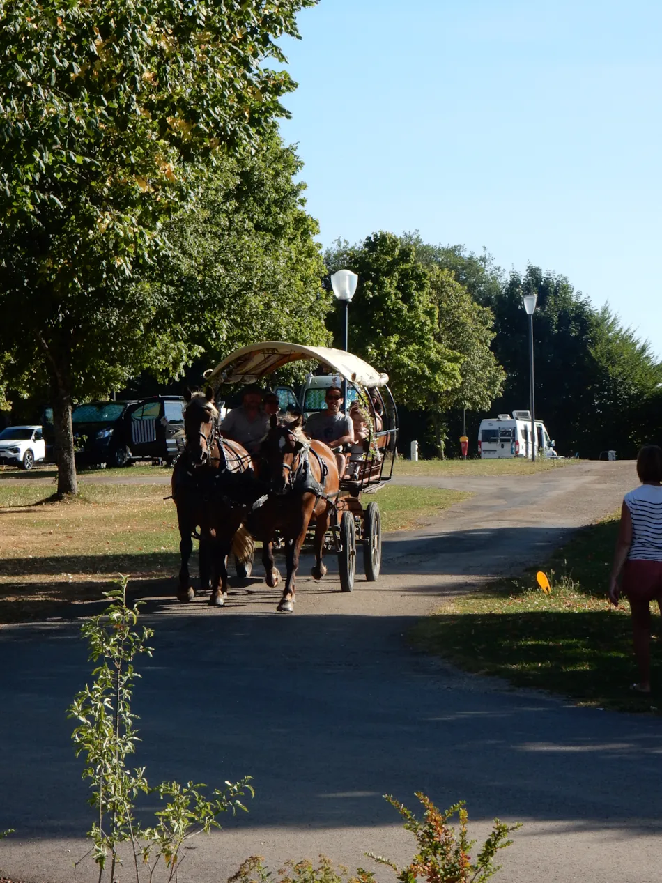 Camping Le Champ de Mars