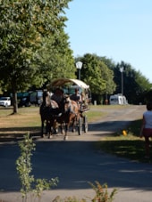Camping Le Champ de Mars