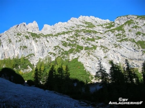 Dolomiten Camping Amlacherhof — Photo 4