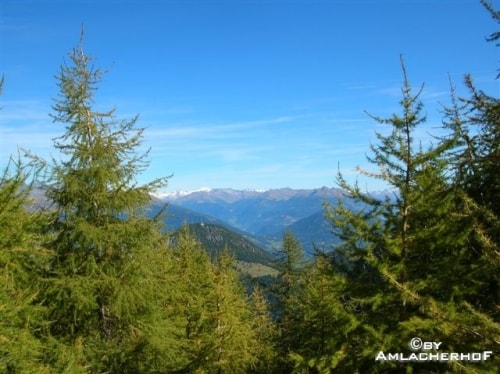 Dolomiten Camping Amlacherhof — Foto 2