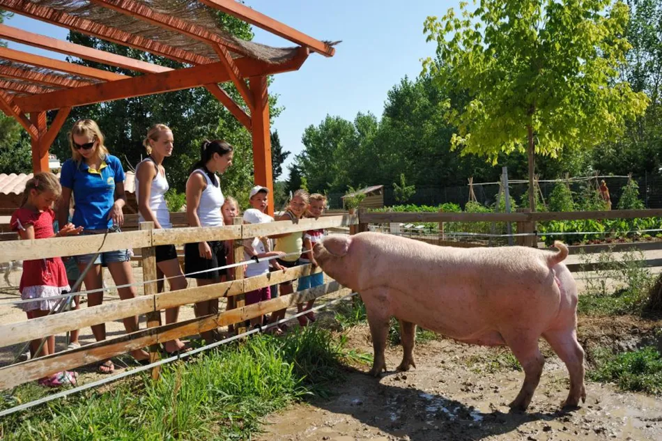 Camping Marvilla Parks - Domaine La Yole