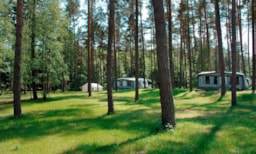 Kampeerplaats(en) - Kampeerplaats Caravan Of Tent - 2 Volwassenen / 3 Kinderen  - Incl. Stroom - Campingplatz am Useriner See - mit FKK