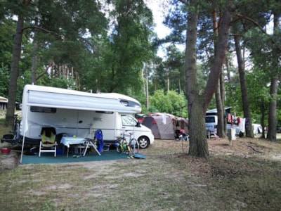 Pitch for camper van / RV 40m2 — 2