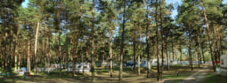 Kampeerplaats(en) - Kampeerplaats Caravan Of Tent - 2 Volwassenen Incl. - Campingpark am Weissen See