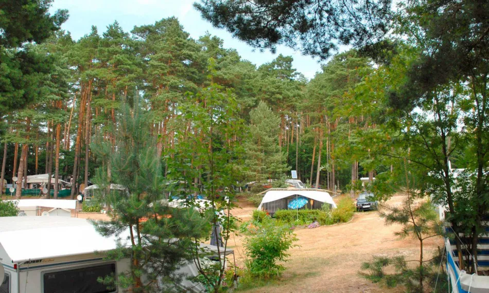 Campingplatz am Grossen Pälitzsee