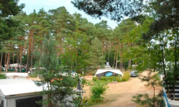 Campingplatz am Grossen Pälitzsee - image n°2 - Camping Direct
