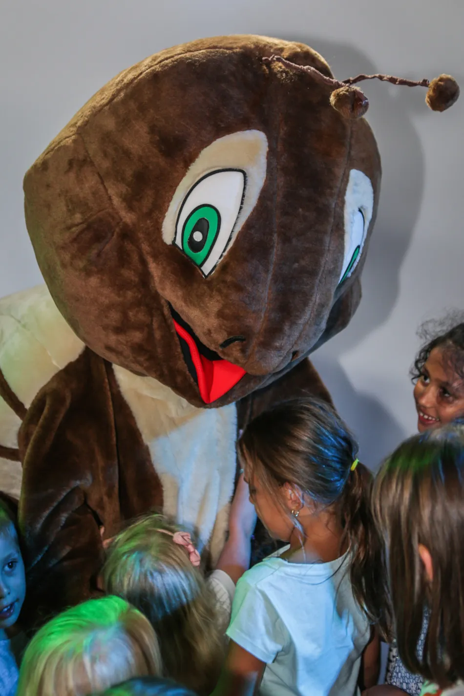 Camping Le Petit Rocher****