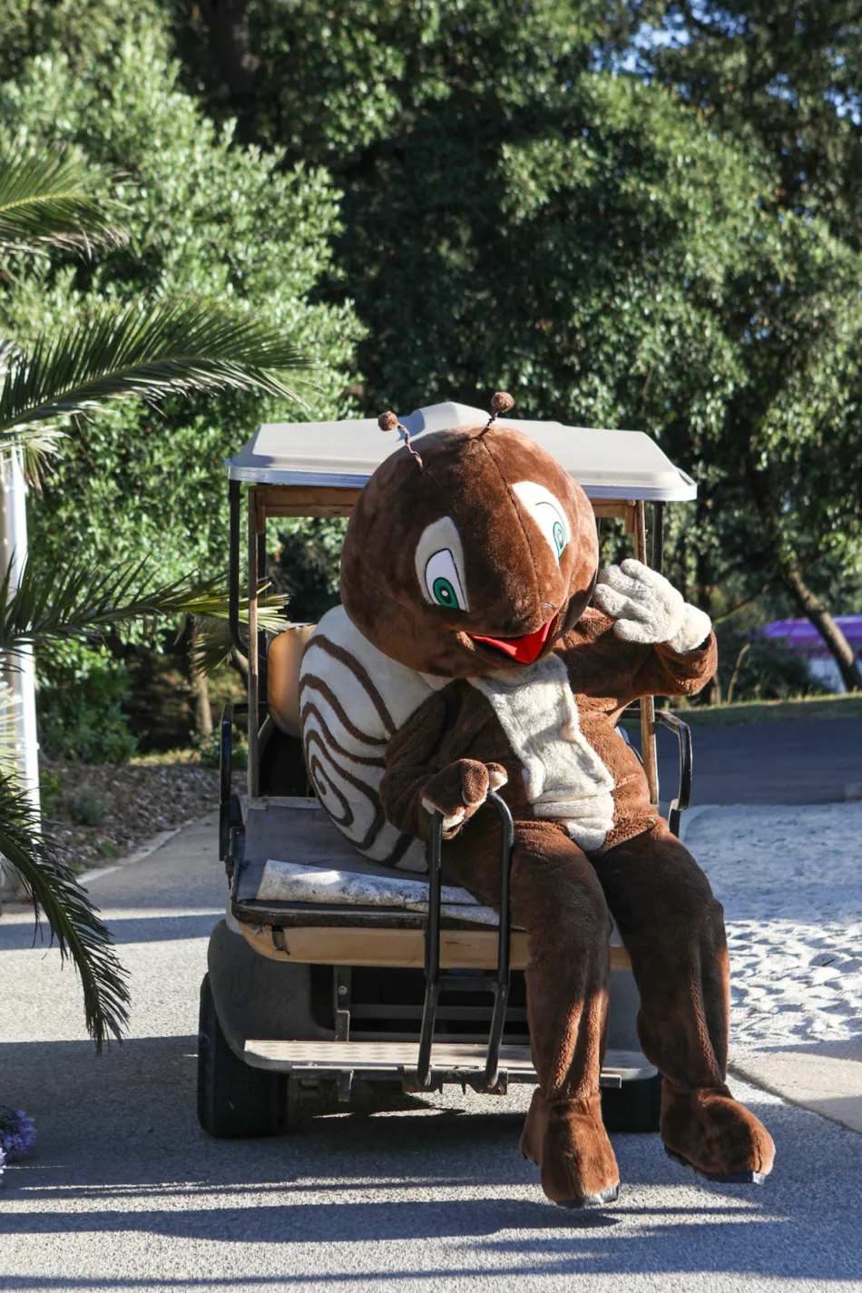 Camping Le Petit Rocher****