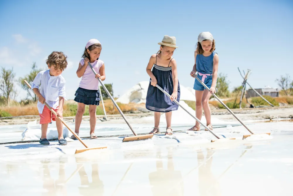 Camping Le Petit Rocher