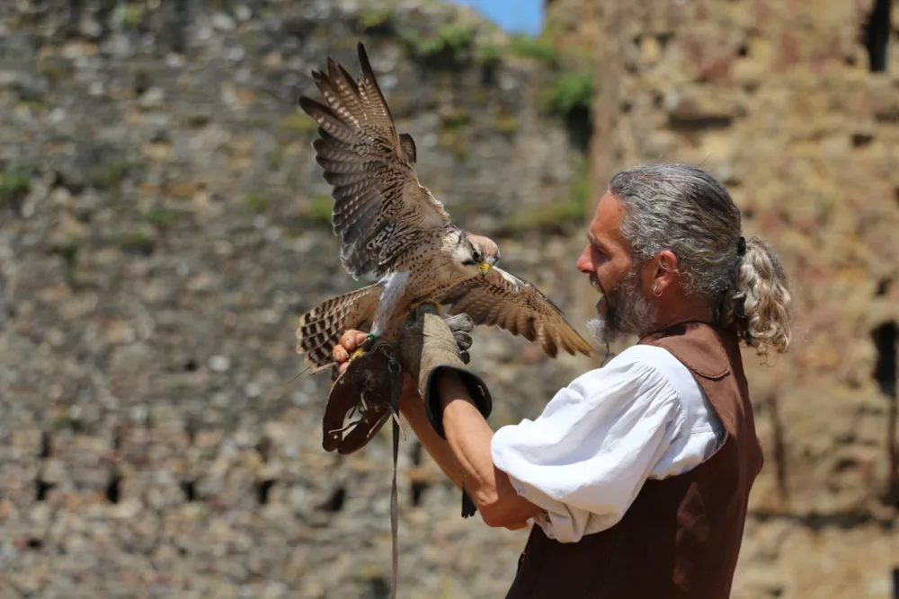 Camping Le Petit Rocher