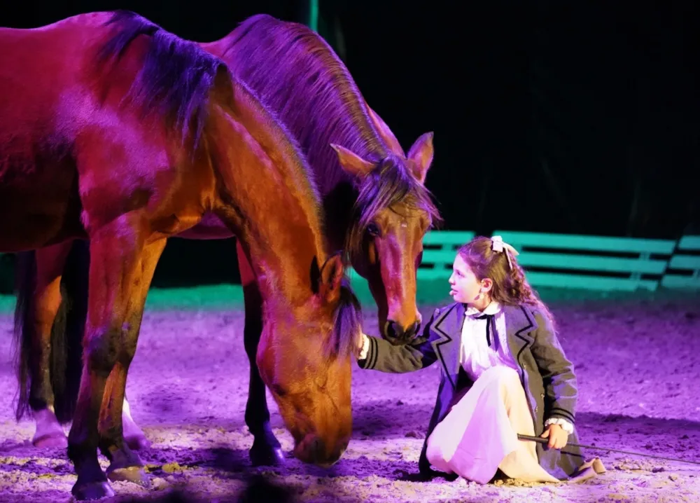 Camping Le Petit Rocher