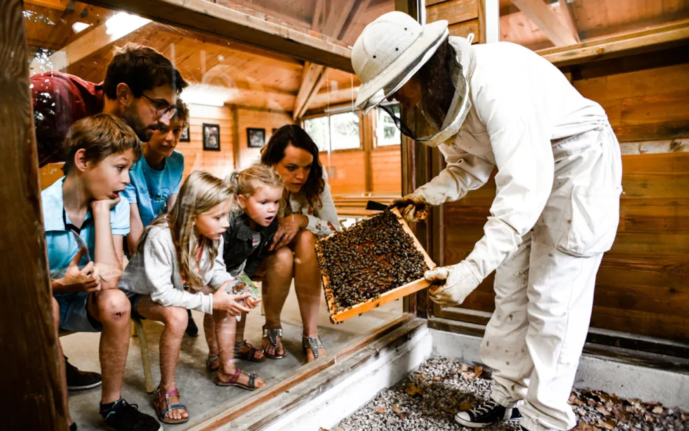 Camping Le Petit Rocher