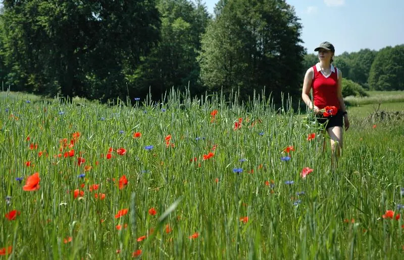 Camping- und Ferienpark Havelberge