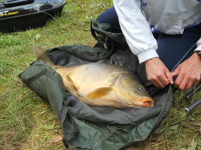 Camping La Croix du Bois Sacker