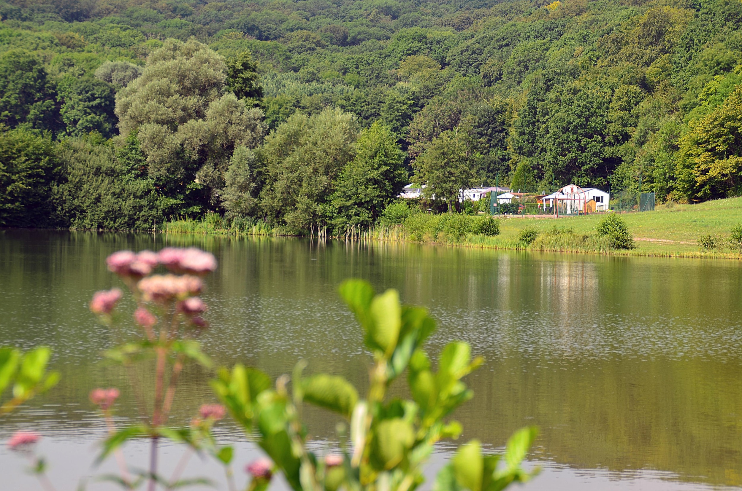 Camping La Croix du Bois Sacker — Photo 4