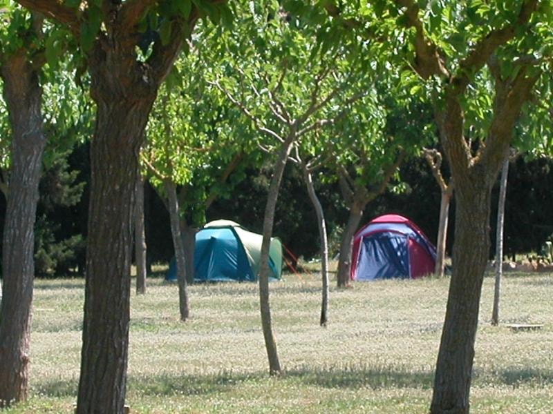 Camping La Rueda photo 4