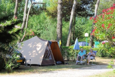 Pitch 'A' (size 6x8 meters) + 1 car + 1 tent +  electricity 6A — 1