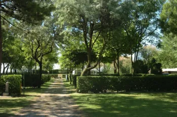 Pitch - Pitch 'Special' (Size 120M2) + Tent Or Caravan Or Camper + Electricity 10A + Water + Satellite - Camping Village Al Boschetto