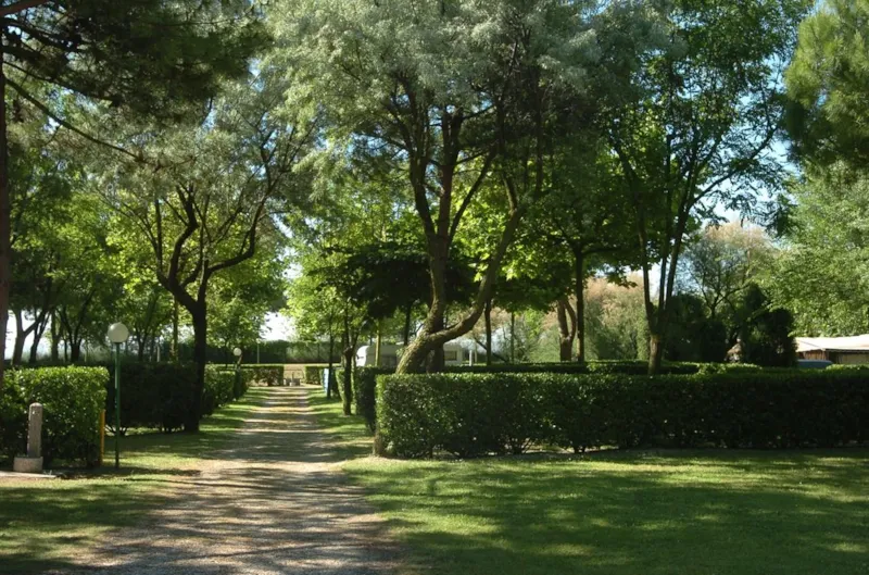 Emplacement 'Special' +Caravane/Tente + Électricité + Eau + Satellite