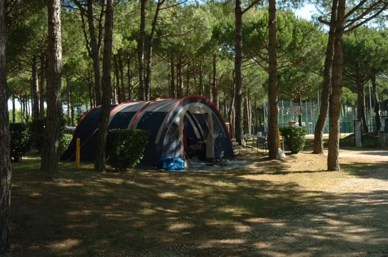 Emplacement 'A' + 1 Voiture + Tente + Électricité