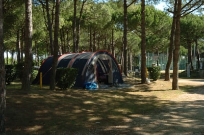 Pitch 'A' (size 6x8 meters) + 1 car + 1 tent +  electricity 6A — 2