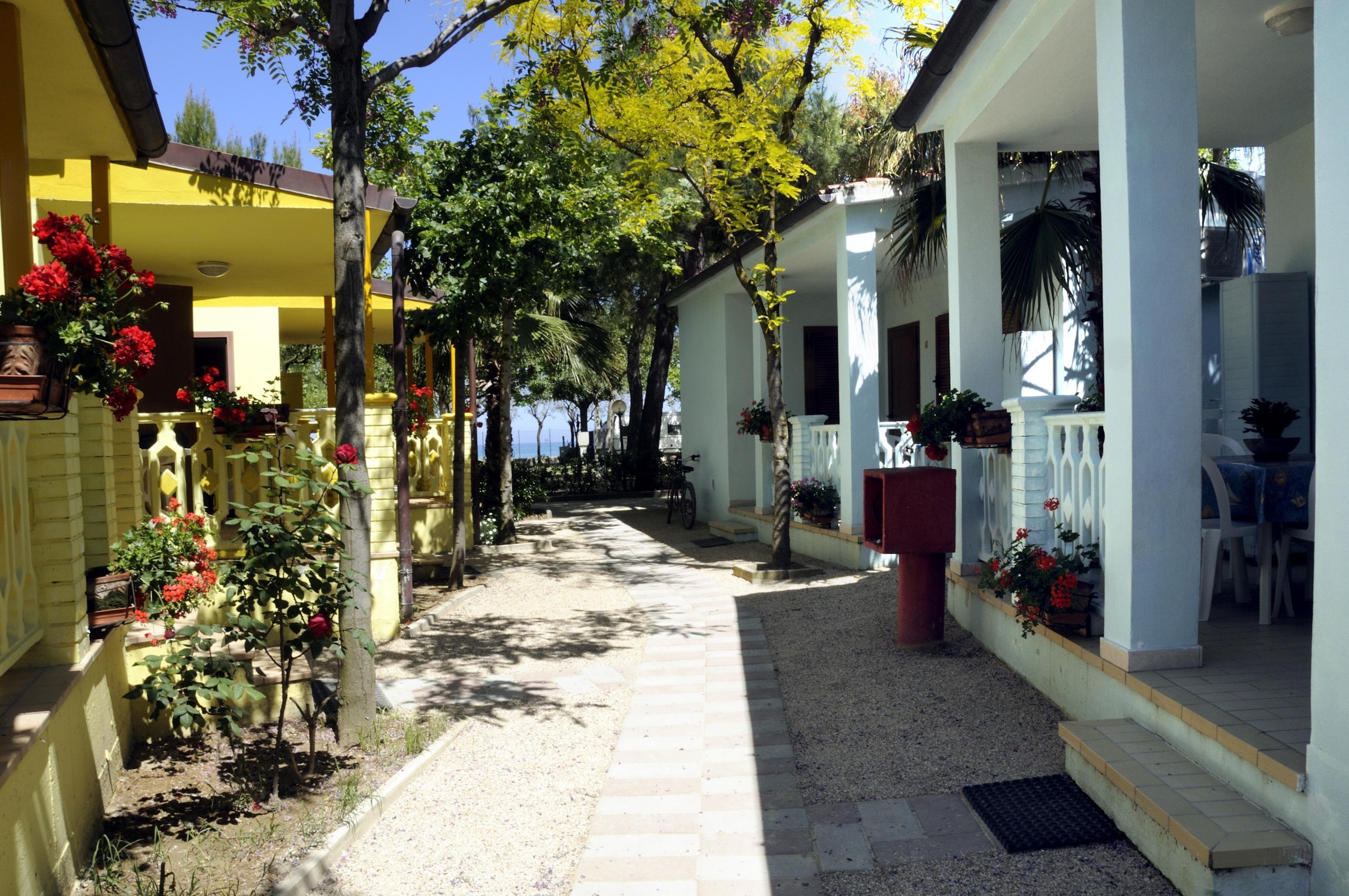 International Camping Torre di Cerrano — Photo 1