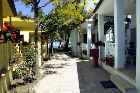 International Camping Torre di Cerrano