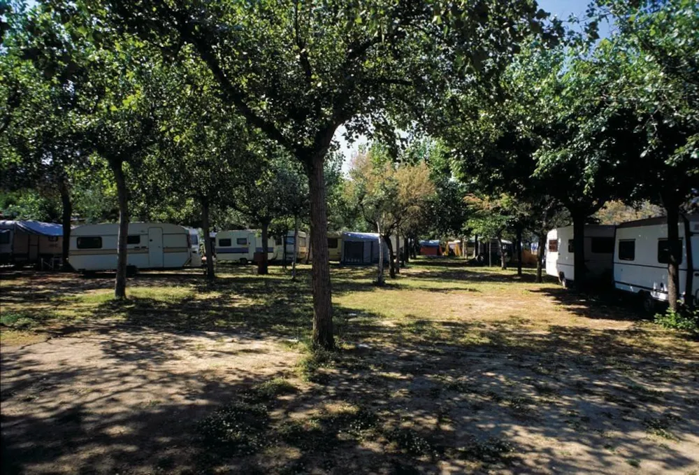 Pitch + tent, caravan or camping-car