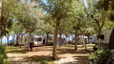 Pitch + tent, caravan or camping-car