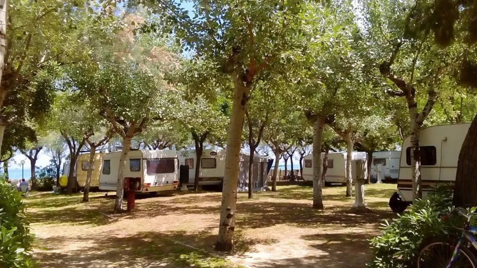 International Camping Torre di Cerrano