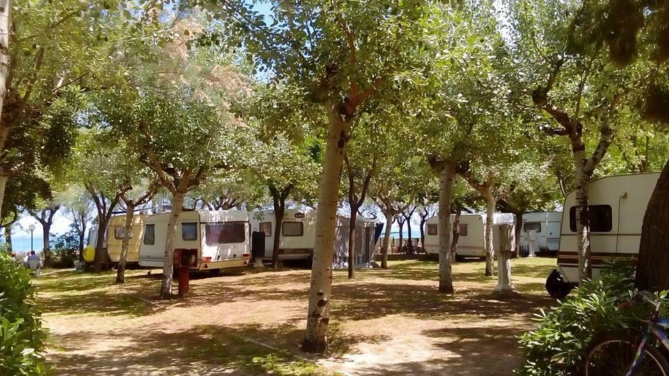 International Camping Torre di Cerrano — Photo 6