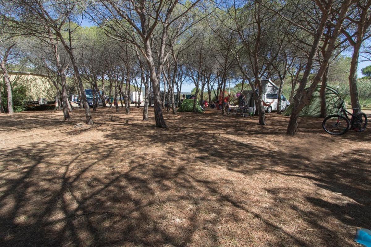 Emplacement - Emplacement Tente Familiale / Mini Bus - Camping Pedra e Cupa