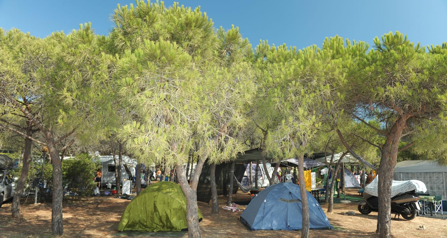 Emplacement - Emplacement Petite Tente (2X1x1m) - Camping Pedra e Cupa