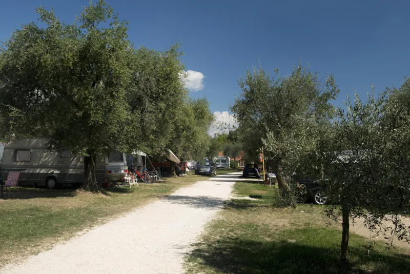 Emplacement + 2 Personnes Comprises + Électricité