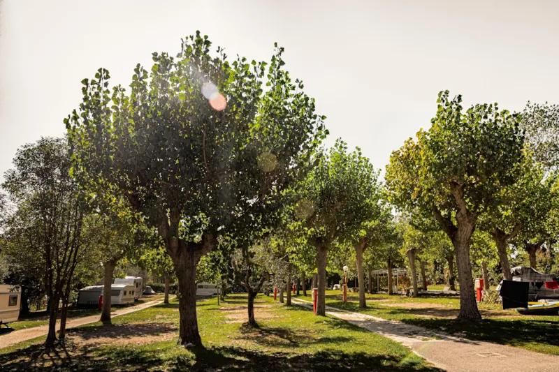 Emplacement + 2 Personnes Comprises + Électricité
