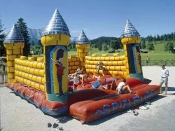 Alpen-Caravanpark Tennsee - image n°3 - Camping Direct