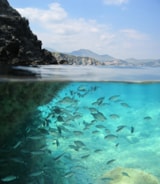 Foto #45 van Camping Sunêlia Le Florida