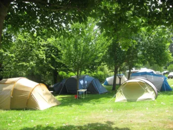 Stellplatz - Stellplatz + Zelt - Camping El Helguero