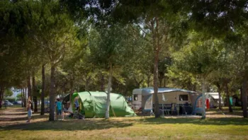 Stellplatz - Stellplatz Zelt - Mareblu Camping Village