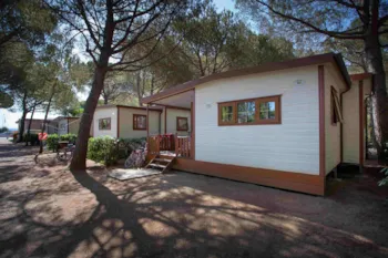 Mietunterkunft - Mobilheim Deluxe - Mareblu Camping Village