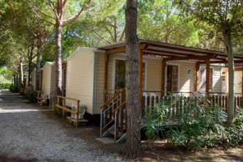 Mietunterkunft - Mobilhome Royal - Mareblu Camping Village