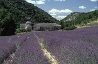 Camping La Pinède en Provence