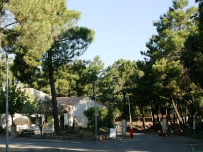 Camping La Pinède en Provence