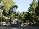 Foto #7 van Camping La Pinède en Provence