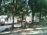Foto #4 van Camping La Pinède en Provence