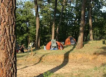 Emplacement - Forfait Cycliste / Motard - Camping La Pinède en Provence